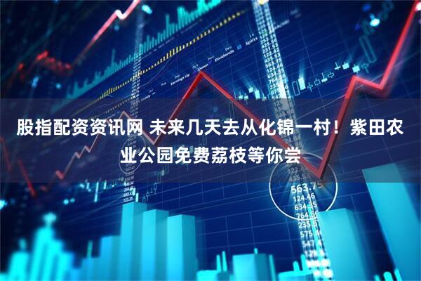 股指配资资讯网 未来几天去从化锦一村！紫田农业公园免费荔枝等你尝